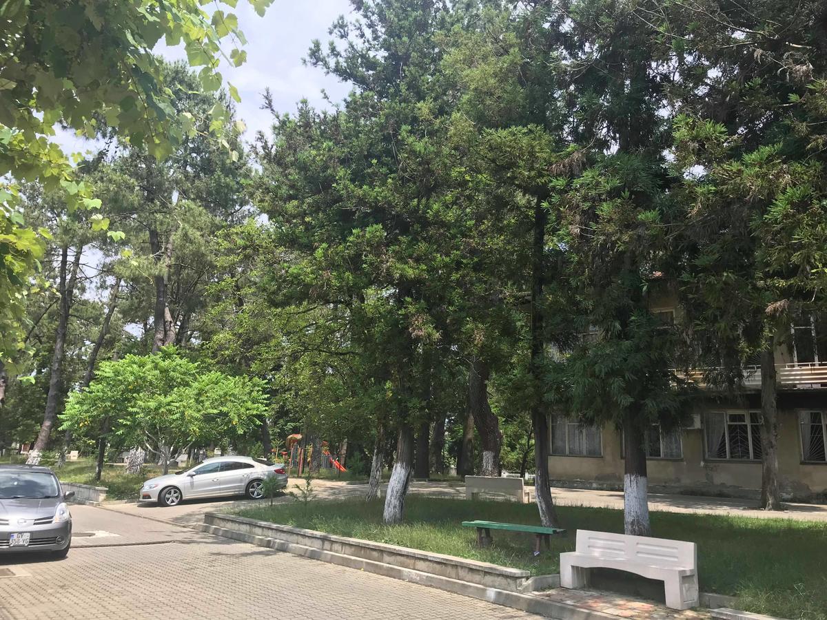Anna Hostel Кобулеті Екстер'єр фото