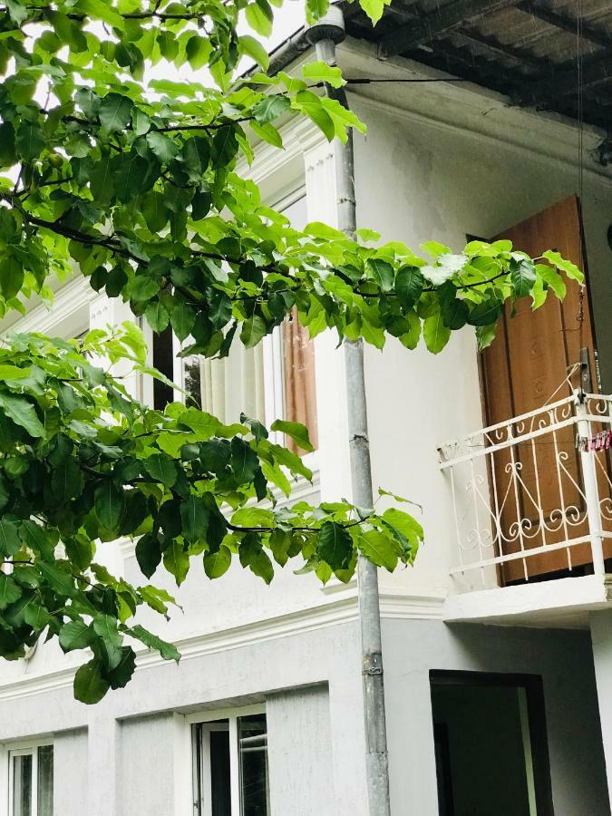 Anna Hostel Кобулеті Екстер'єр фото
